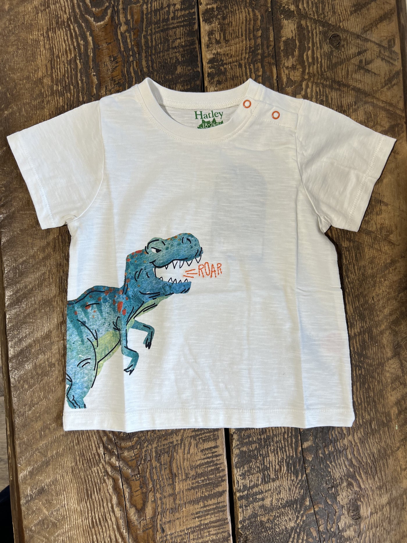 T-Rex Roar Graphic Tee