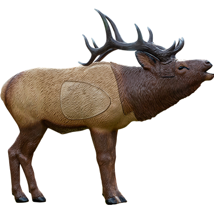 1/3 Scale Woodland Elk